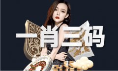 <strong>彩图图库材料大全</strong>